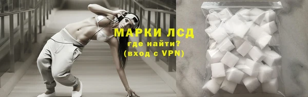 СК Кукмор
